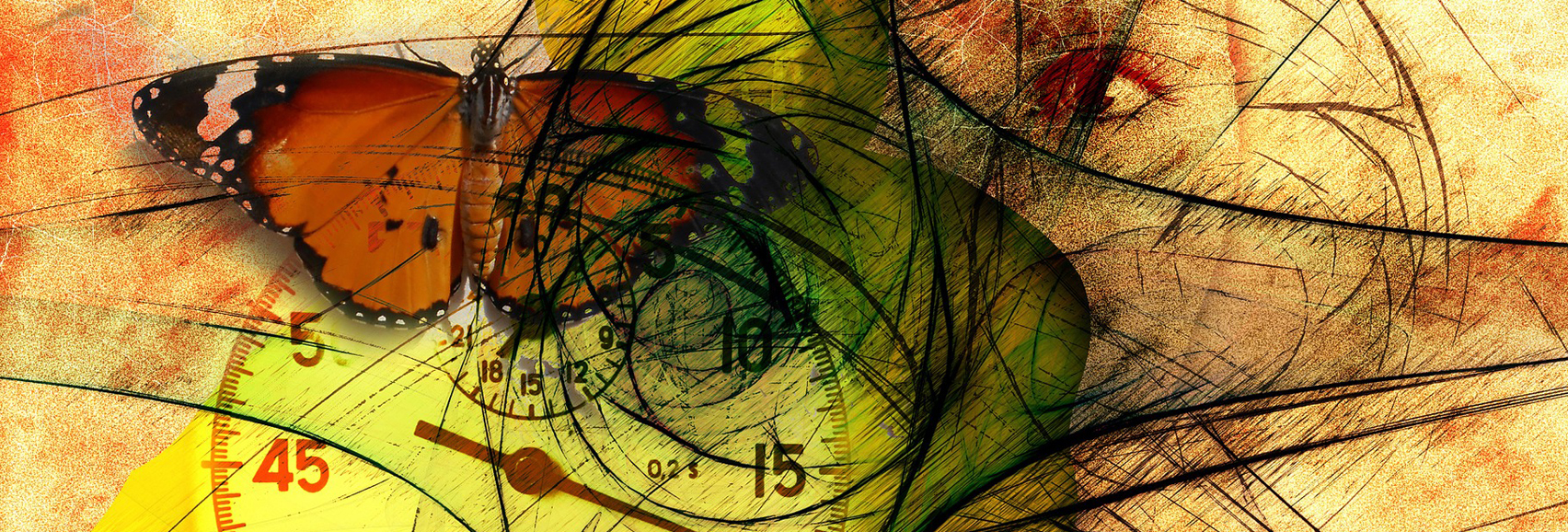 Banner header fibromyalgie